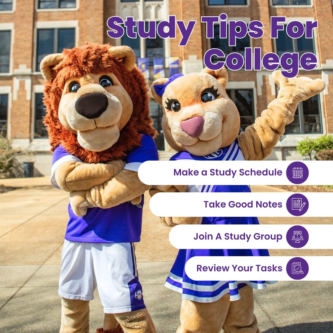 Final stretch, Lions! 🦁 Here are 4 tips to stay focused and finish summer classes like a champ. You’ve got this! 💯 #UNAStudents #FinalPush #CASEatUNA
