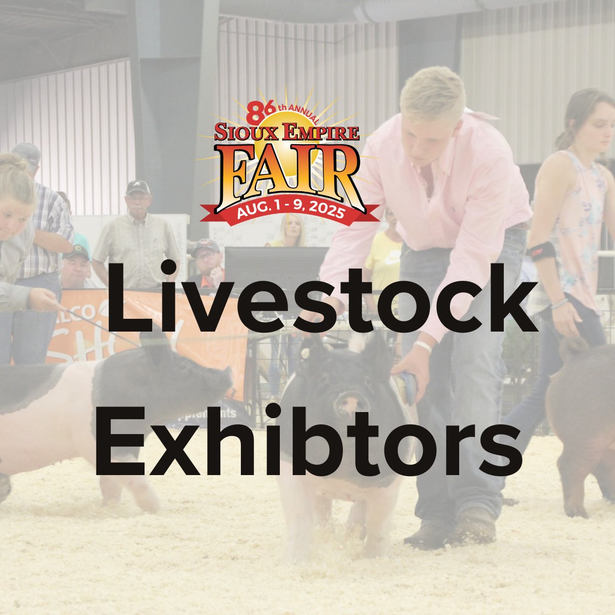 SiouxEmpireFair's tweet image. Calling all Livestock Exhibitors! 🐄🐖🐑🐐
Livestock show info is up on the website! Open Class, FFA, and 4-H show info can be found at siouxempirefair.com/p/siouxempiref…