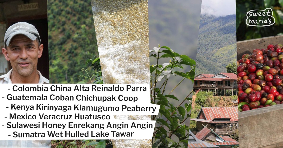 Just listed: A classic Guatemalan coffee, a balanced Mexican lot, a syrupy sweet Kenya peaberry, a big-bodied, bassy Sulawesi honey process, a bittersweet Colombian coffee, and a rustic wet hulled Sumatra. 🌱

Shop now: sweetmarias.com/catalogsearch/…