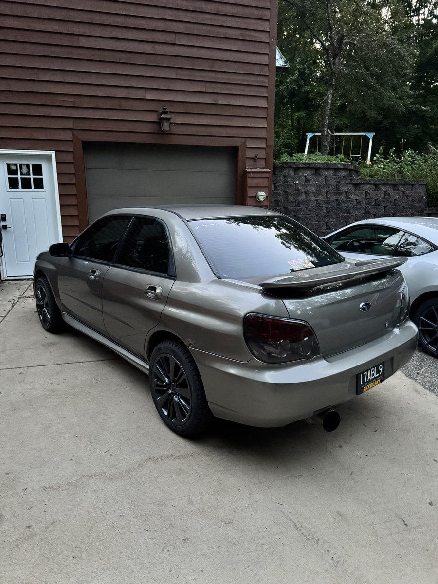 RallyRex⛰️ (@milothegreat57) on Twitter photo 