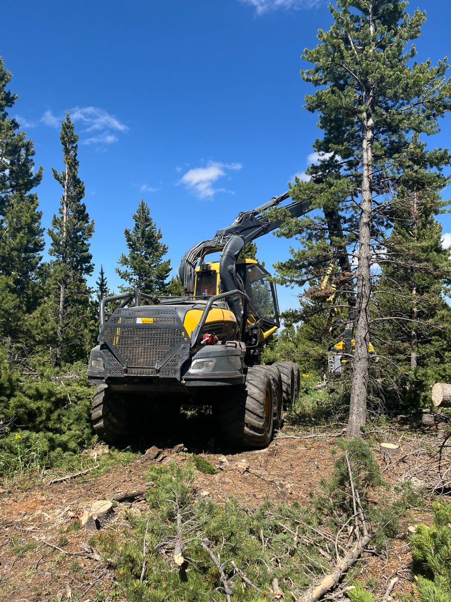 Areas along Deadman Road (Larimer CR 86) are closed, along with Forest Road 300A, for fuels mitigation work. Deadman Road remains open; stay safe by respecting the closure areas and giving space to equipment, trucks and crews. See map here: fs.usda.gov/sites/nfs/file…