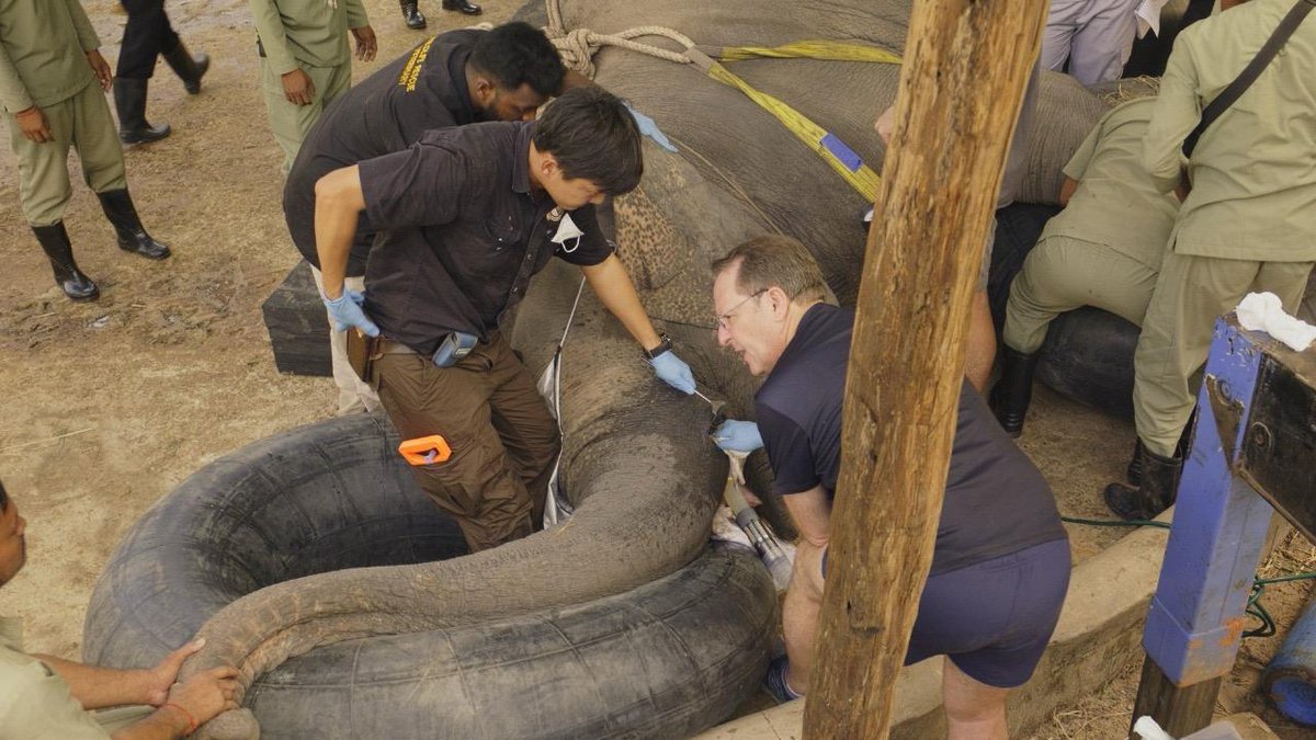 University of Pretoria tweet media