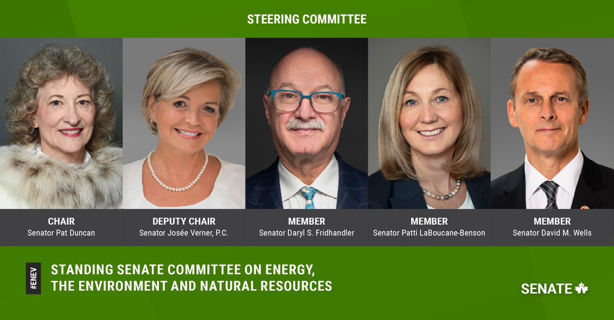 SenateCA's tweet image. The chair of the Senate Committee on Energy, the Environment and Natural Resources is Senator Pat Duncan, the deputy chair is Senator Josée Verner, and the other members of steering are senators Daryl S. Fridhandler, Patti LaBoucane-Benson and @wellsdavid :…
