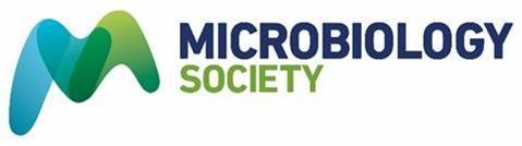MicrobioSoc's tweet image. Being a member of the Microbiology Society has many benefits, from discounts to our events, eligibility to apply for grants and much more. Speak to our staff at stand 524 for more information. #GetInvolved #mmc2025UK @RoyalMicroSoc