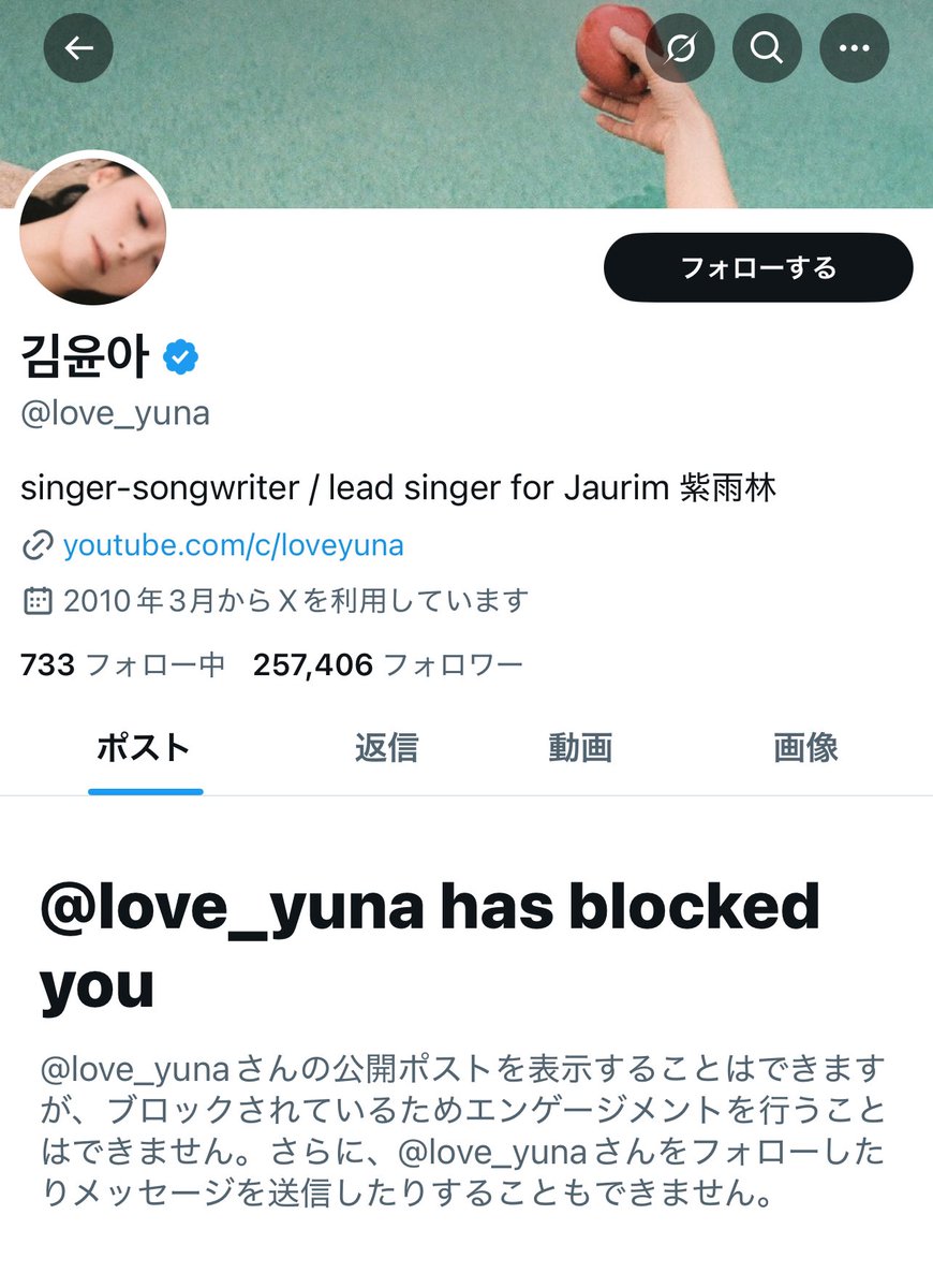 日本人の私はこの人知らなかったので
仲良くしてもらってる韓国のフォロワーさんに教えてもらいました。
反日歌手みたいですね。

なぜ私がブロックされたのか？？？
ユン·ソクヨル大統領を応援してるだけなのに
おもしろい人ですね😂