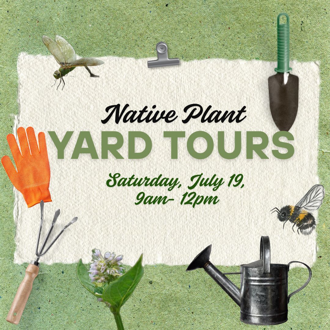 The Bowling Green Parks and Recreation Department is excited to invite the community to participate in the Native Plant Yard Tours, where two Bowling Green homeowners will be sharing the perks of their native yards. Learn more:buff.ly/RU5fBvL