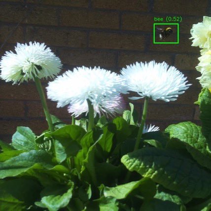 At this year’s Chelsea Flower Show Raspberry Pi 5 and Hailo AI worked together to automatically recognise and record photos of bees and butterflies.

Embedded sensors in trees also prompted conversations with visitors about each tree’s health via an app. 

Oh… and this