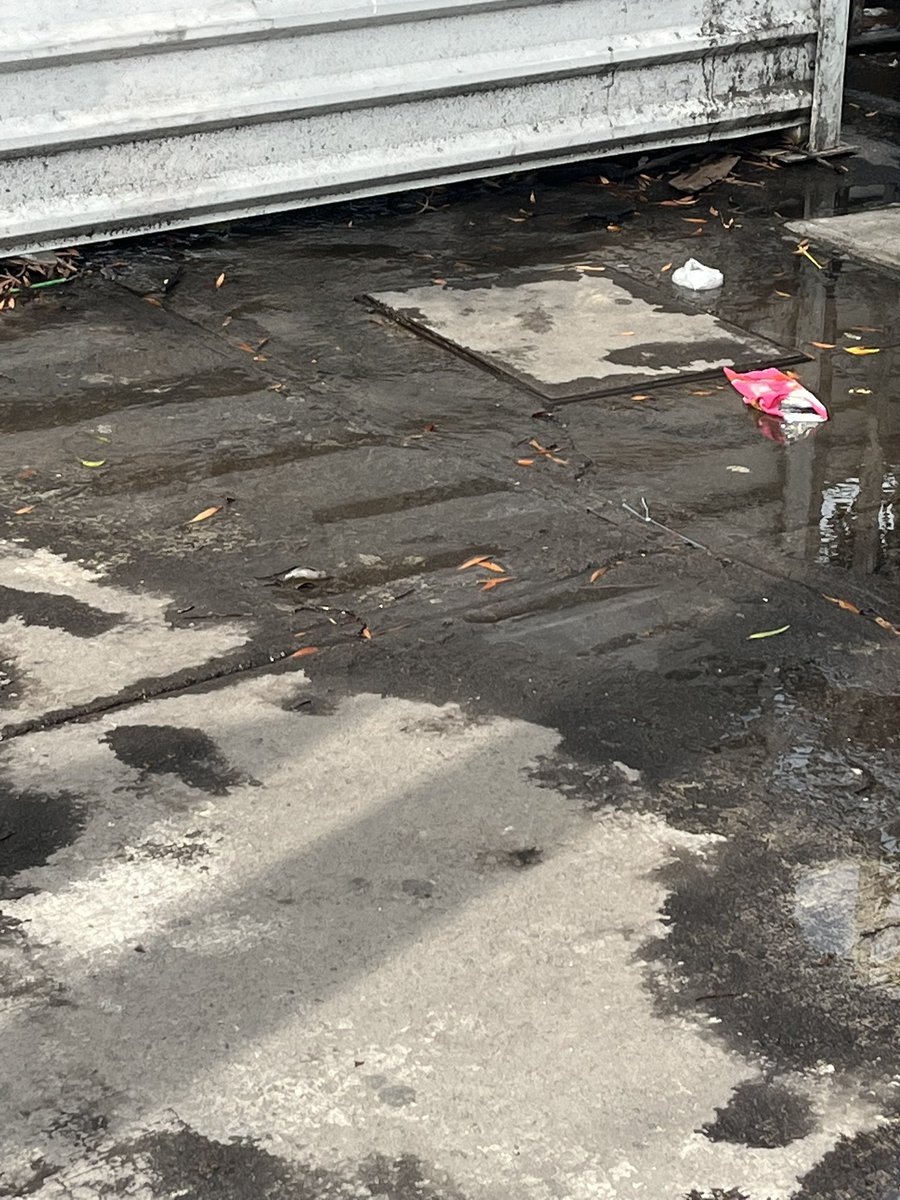 truchis81's tweet photo. @SEGIAGUA fuga de agua en xola y eje central, en la esquina de la secretaría de comunicaciones. El agua sale de esa coladera y parece ser agua limpia. Lleva más de 3 días así https://t.co/kqs5FZMVL7