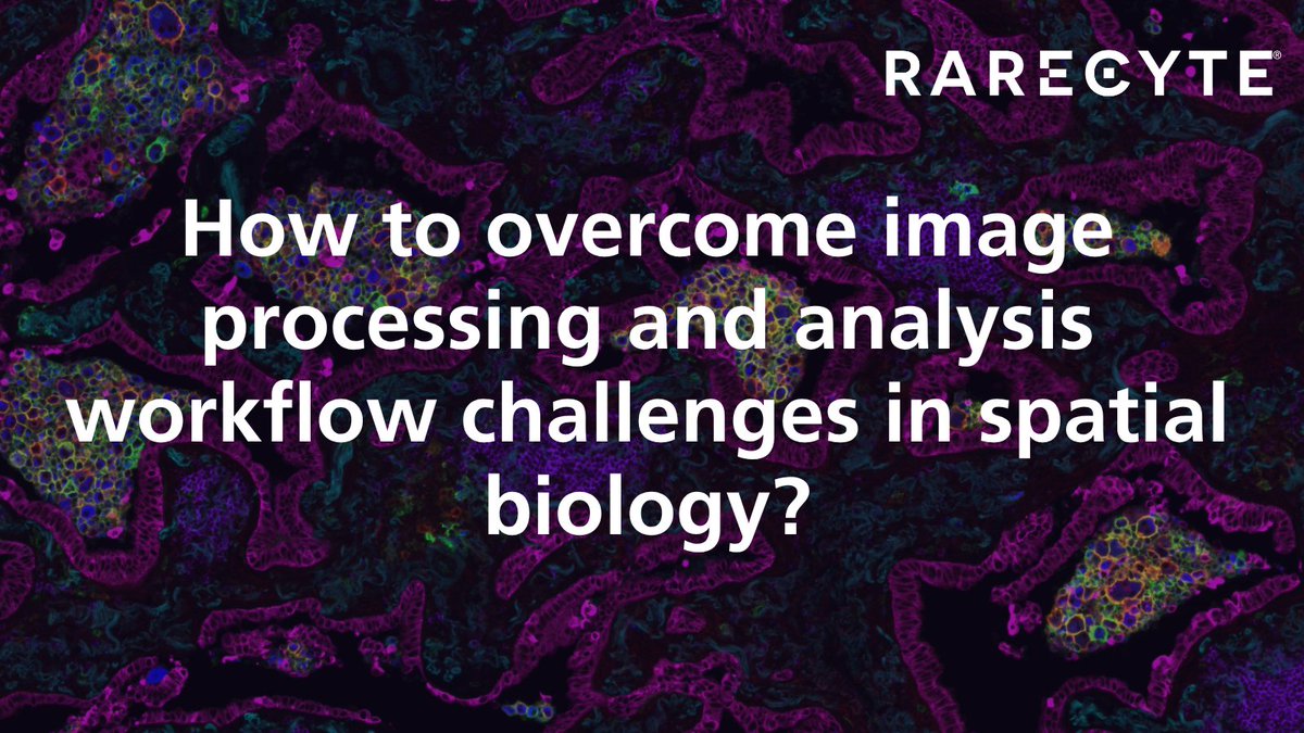 RareCyte's tweet image. Spatial biology workflows are often fragmented, but Orion streamlines the process by running cell segmentation and feature extraction on its processing unit, creating a comprehensive data package ready for flexible downstream analysis.

Learn more: drugdiscoverynews.com/optimizing-spa…