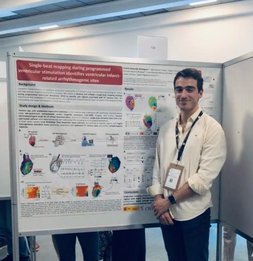 Very proud of the work presented by <a href="/MCouseloSeijas/">Marinela</a>, Alba García and Andrés Redondo from <a href="/CNIC_CARDIO/">CNIC</a> during the 49th Meeting of the ESC Working Group on Cardiac Cellular Electrophysiology. Also glad to participate as EHRA representative with the rest of nucleus members #EGWCCE