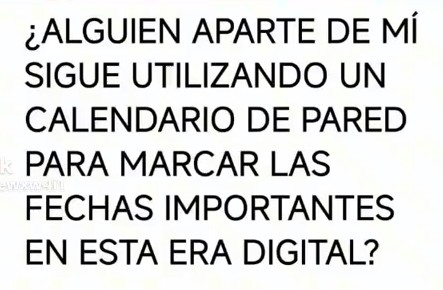 Miren Gurutxe 🌹🌹🌹🇵🇸 tweet media