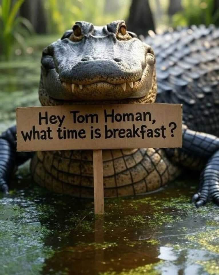 This Is Texas Freedom Force (@thisistexasff) on Twitter photo 