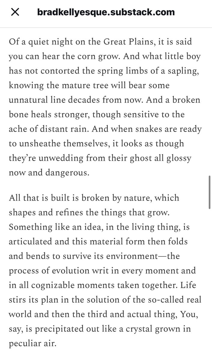 Loving these images and turns of phrase from <a href="/bradkelly/">🪓BK🪢</a>! Check out his thought provoking article on the Tarot’s Star card here: bradkellyesque.substack.com/p/the-star 💫👁️💫