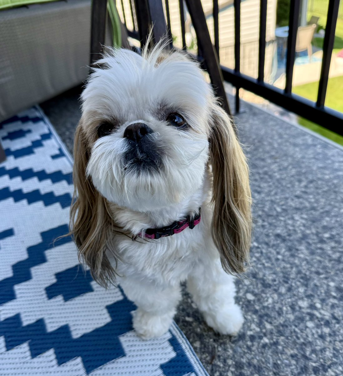 Go away with that camera. I’m trying to watch the birds. 
#WontLookWednesday