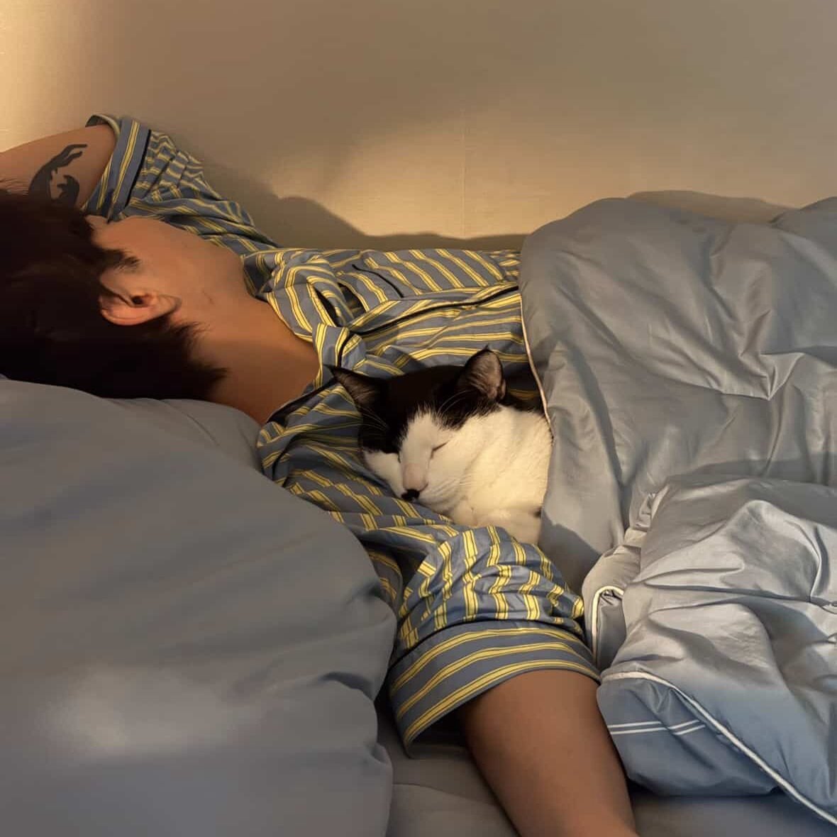 jshfolder's tweet image. junseongho: “you’re so clingy”
mangchi: “but you like it, don’t you?”

#준성호 #junseongho