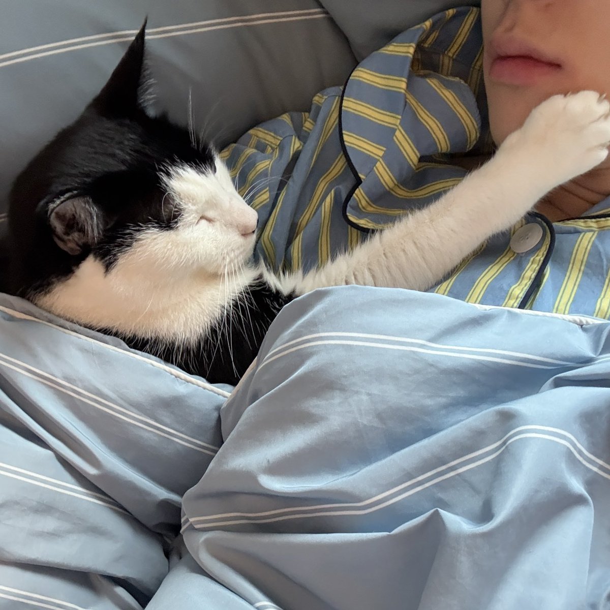 jshfolder's tweet image. junseongho: “you’re so clingy”
mangchi: “but you like it, don’t you?”

#준성호 #junseongho