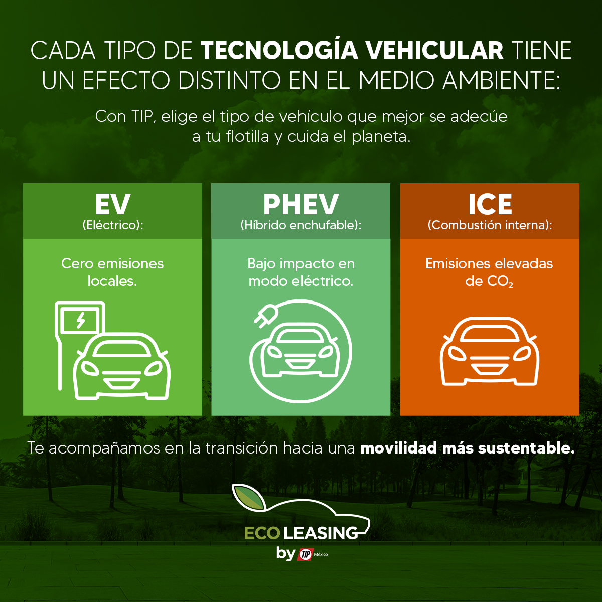 TIPMexico's tweet image. 🚙 Elegir el tipo de vehículo para tu flotilla no solo impacta en costos operativos, también define tu compromiso ambiental. ¿Tu empresa ya está tomando el camino hacia la movilidad sustentable?🌱 #TIPMéxico #TIPLeasing