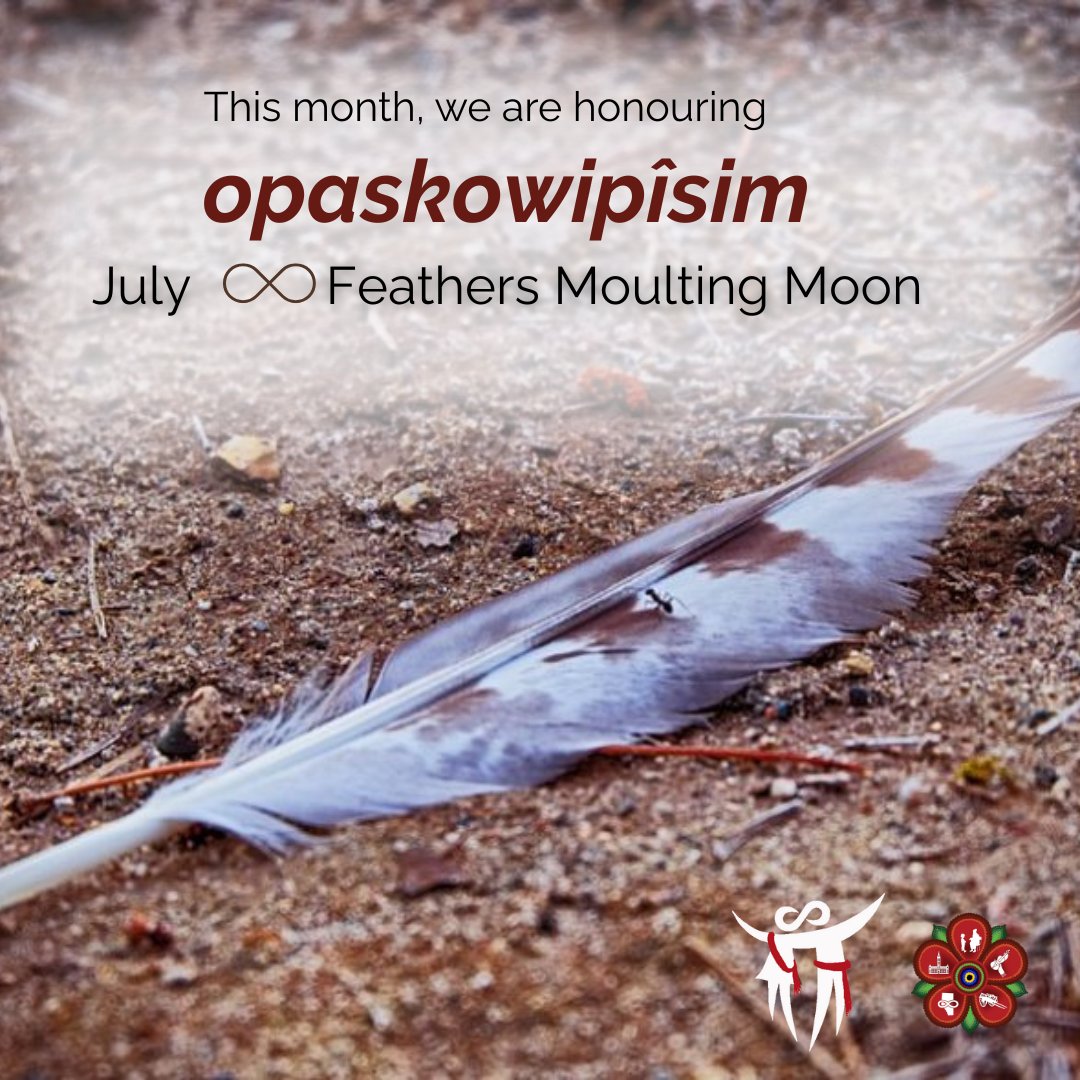 tawâw, welcome to opaskowipîsim, feathers moulting moon - July! RLI is grateful to share teachings from Métis knowledge holders across Alberta in the askîhk kiskinohamâtowin - Land-Based Learning videos and lesson plans available here: ow.ly/OE9T50WjPmG