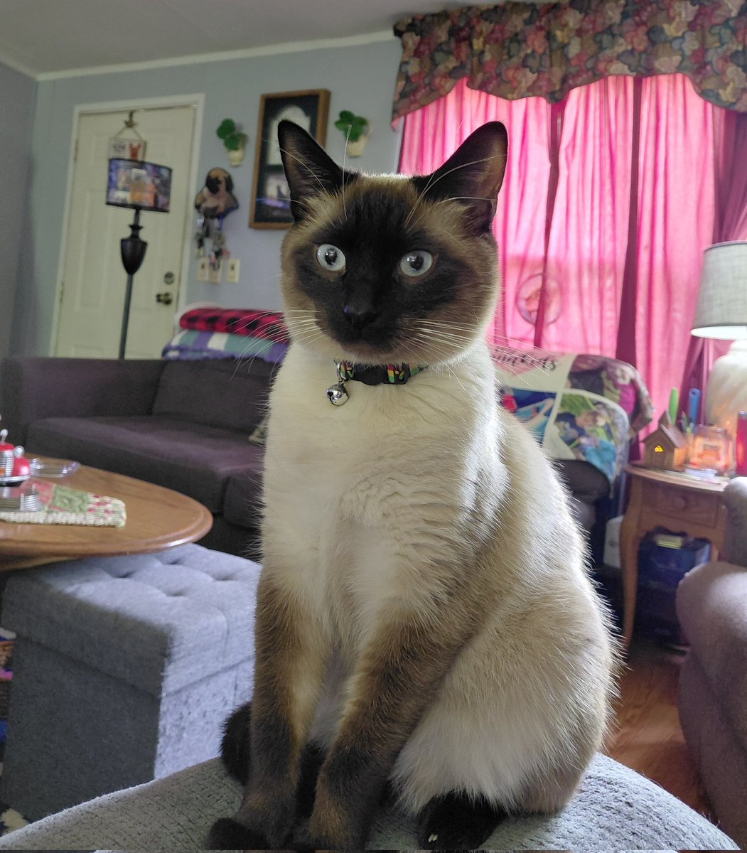 FatDaddySlim67's tweet photo. Good Morning to the Great People of 'X' from Casper and I... https://t.co/OphL9D7OID