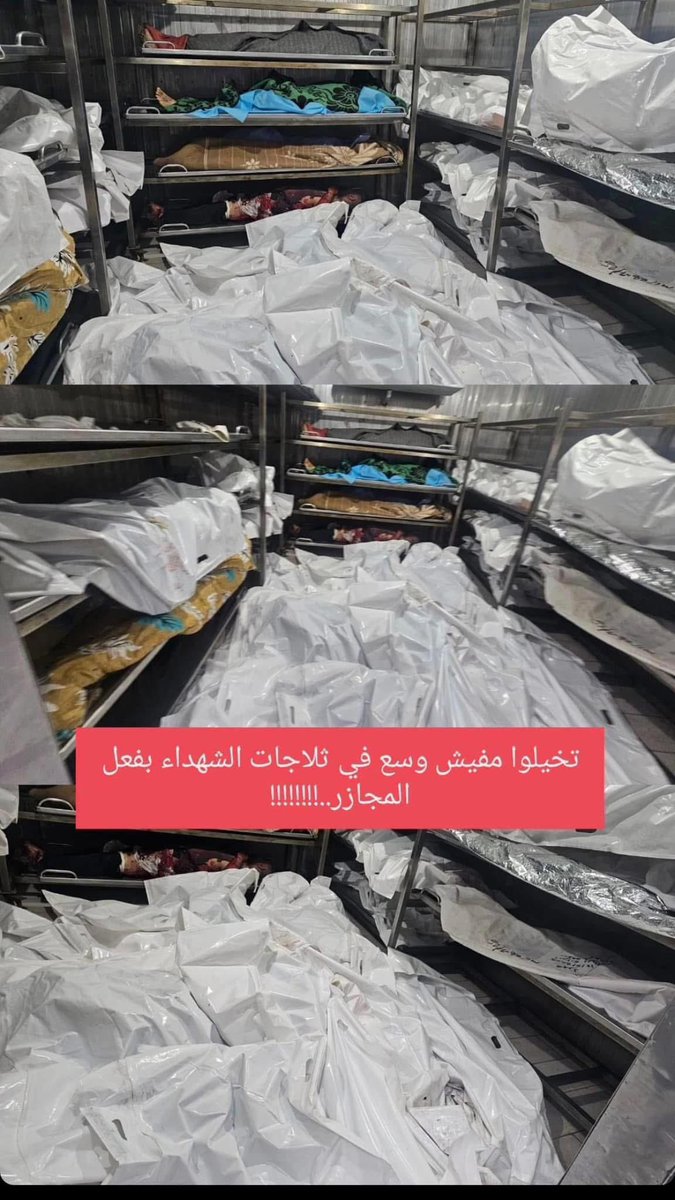 فشّ وسع في ثلاجات الشهـ،،ـداء  !

غــزة
2/6/2025