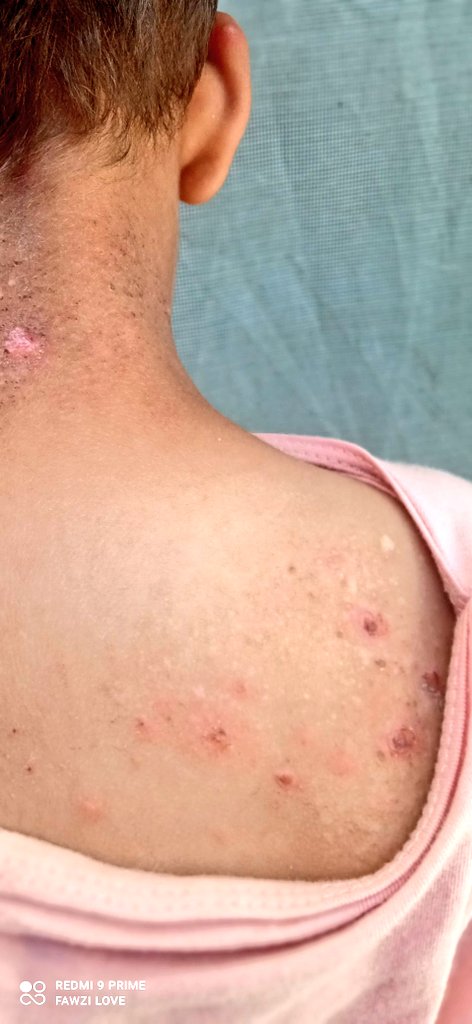 Mahmoud 1999 tweet media