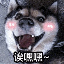 智障青年欢乐多 tweet media