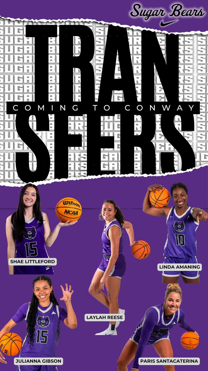 Five players who all started out somewhere else separately but then all had a common desire to become a Sugar Bear and finish out strong together 💜 Help us welcome our group of transfers!!!