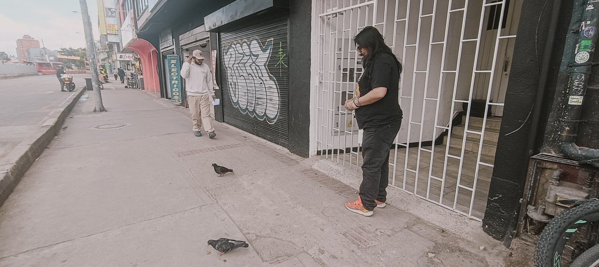 Será que las palomas chupan yerbabuena. 
😂 <a href="/henryrage/">Henryrage 🤘🏽</a>