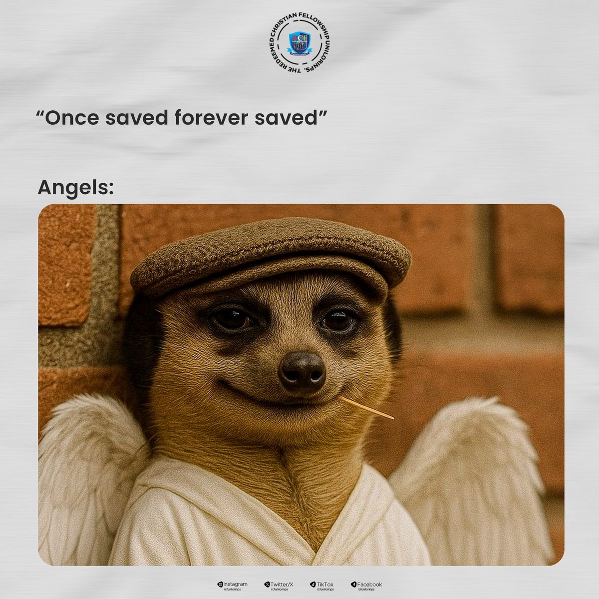 Rcfunilorin's tweet photo. Still in the exam mood, but let's take a short break and laugh at these memes on each slide! 😂  

Which one can you relate to the most? 🤔🤣
Share with us in the comments below! 👇🏽

#wednesday
#memes
#meerkat
#rcfunilorinps https://t.co/o48gm3SUTx