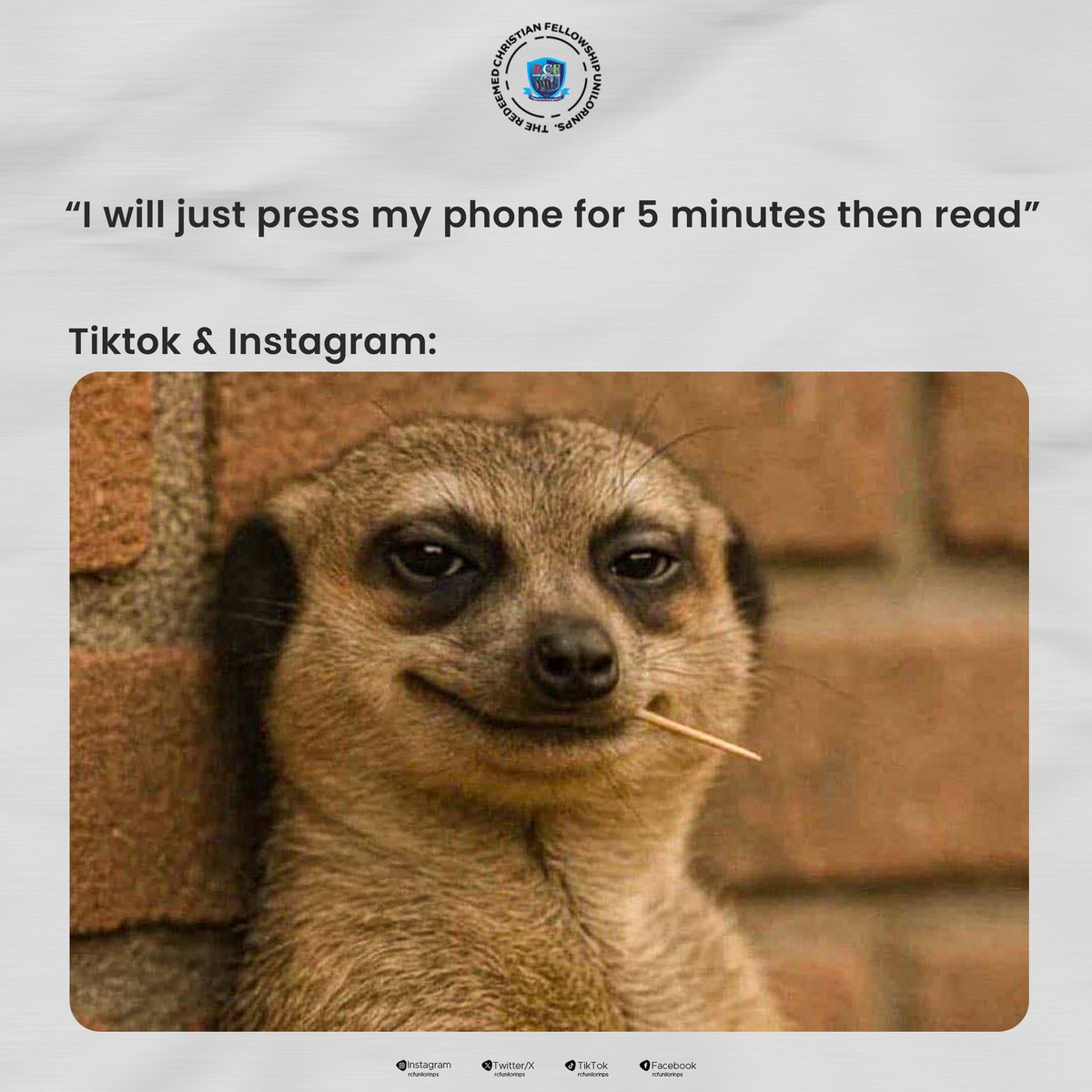 Rcfunilorin's tweet photo. Still in the exam mood, but let's take a short break and laugh at these memes on each slide! 😂  

Which one can you relate to the most? 🤔🤣
Share with us in the comments below! 👇🏽

#wednesday
#memes
#meerkat
#rcfunilorinps https://t.co/o48gm3SUTx