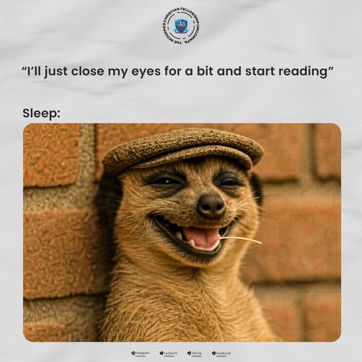 Rcfunilorin's tweet photo. Still in the exam mood, but let's take a short break and laugh at these memes on each slide! 😂  

Which one can you relate to the most? 🤔🤣
Share with us in the comments below! 👇🏽

#wednesday
#memes
#meerkat
#rcfunilorinps https://t.co/o48gm3SUTx