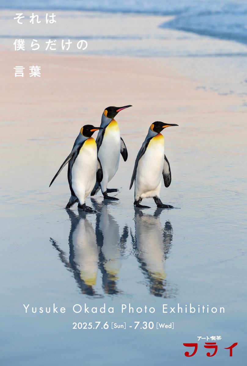 画業50年の葉祥明さんが描いた新刊絵本 『とべ！ジェイムズ
