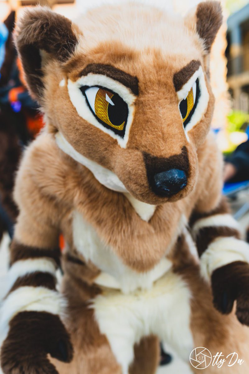 Kippefir🔜AC,AWU,FM (@kippefir) on Twitter photo Find me at Anthrocon 2025!
📸: <a href="/Ravelights/">RAVELIGHTS 🔜 Fur-Eh!</a> <a href="/DrSwablu/">DrSwablu</a> <a href="/_CrowCreations_/">Crow Creations Fur-tography! 🔜 AC+MP+AFC+FC+TFF!</a> <a href="/OttyDu/">OttyDu</a> Find me at Anthrocon 2025!
📸: <a href="/Ravelights/">RAVELIGHTS 🔜 Fur-Eh!</a> <a href="/DrSwablu/">DrSwablu</a> <a href="/_CrowCreations_/">Crow Creations Fur-tography! 🔜 AC+MP+AFC+FC+TFF!</a> <a href="/OttyDu/">OttyDu</a>