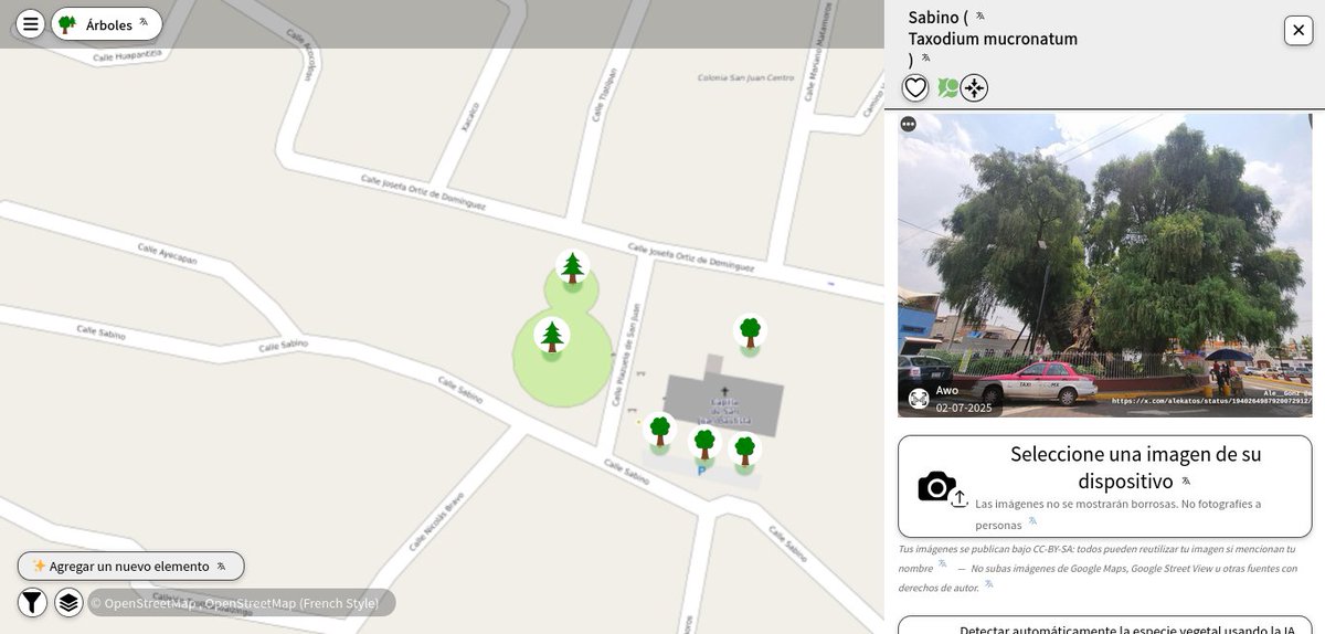 openmapchile's tweet photo. @alekatos @arbolescdmx Todos los árboles urbanos en una misma plataforma cartográfica #OpenStreetmap, visor #MapComplete natural=tree https://t.co/Bd6UMnW0gI https://t.co/TW0EOp0osn