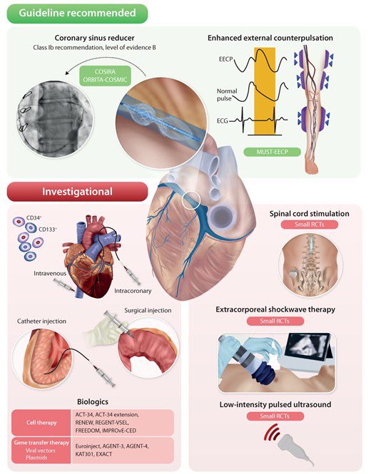 Dr. Martha Gulati ♥️🫀❤️🩹🇨🇦 tweet media