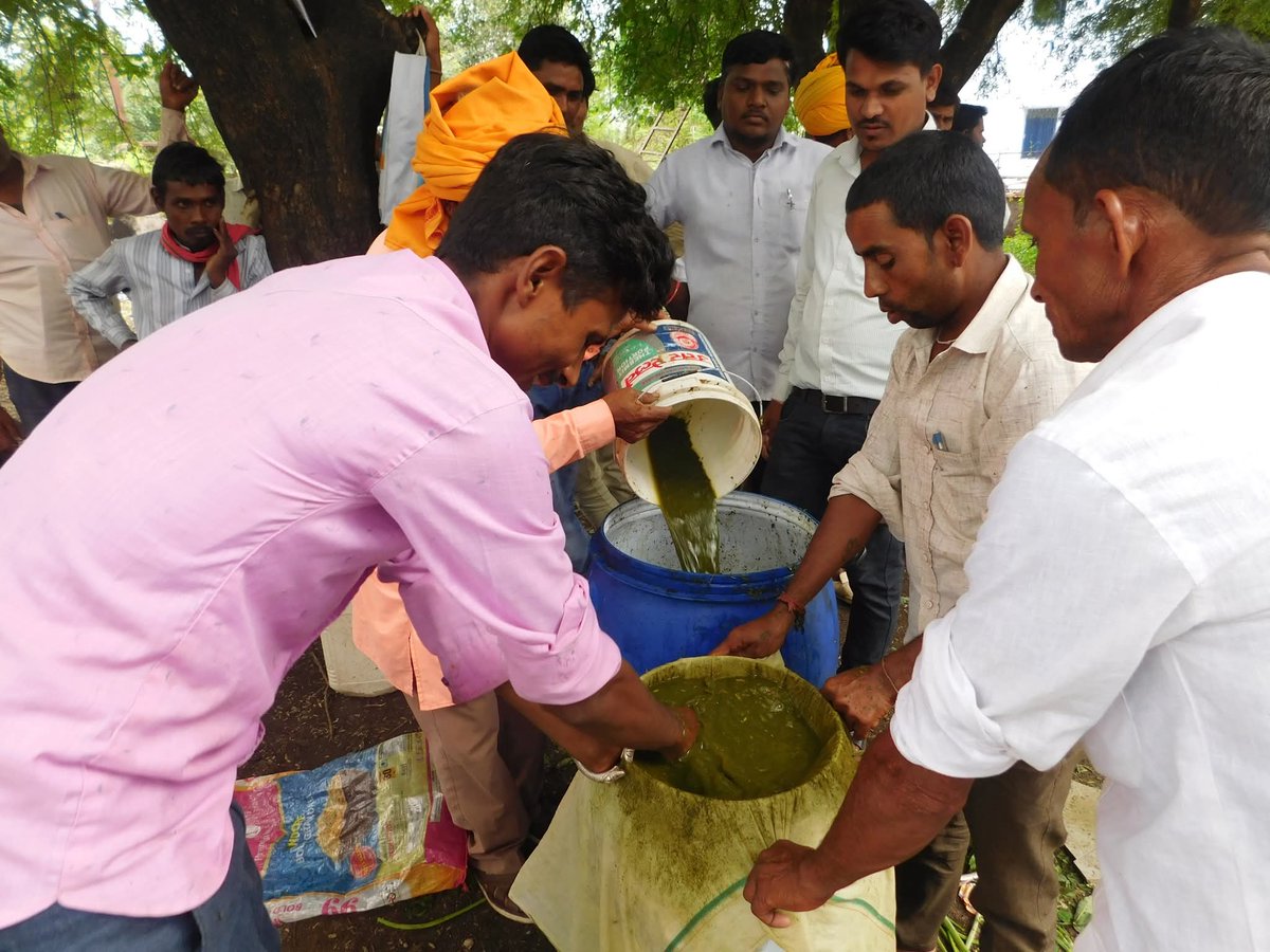 SamparkSocial's tweet photo. Community Bio-Resource Center at Sampark: A Hub for Natural Farming 🌱

After the success of the community seed bank, Sampark’s Bio-Resource Center is emerging as a center of learning and innovation for farmers.

Over the last 3 days, a special training on natural farming was held, teaching farmers low-cost, eco-friendly techniques. They made their own organic solutions like *Jeevandravya*, *Soy & Mahua Tonics*, and *Panchpatti Swarasa*—proven to boost growth and fight pests naturally.

Farmers also received rare saplings like *Bael* and *Palash*, essential for organic pesticides and local biodiversity.

Most participating farmers have practiced natural farming with Sampark for 2+ years and now mentor others in their villages. We call them **"Krishi Mitra" (Champion Farmers)**.

This center has been active for 13 years and is now expanding to villages.

#NaturalFarming #SustainableAgriculture #OrganicIndia #ChampionFarmers #SamparkInitiative #SeedSovereignty #Biodiversity #FarmerTraining #BioResourceCenter #RegenerativeFarming #RuralInnovation #CommunityFarming #Agroecology #FarmersFirst