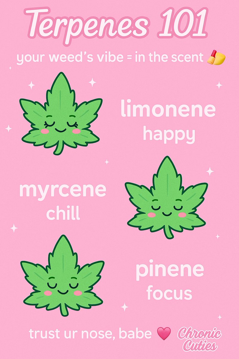 ChronicCuties's tweet photo. your weedβs vibe = in the scent π
π
π limonene = happy
π€ myrcene = chill
π§ pinene = focus
trust ur nose, babe π
#HighAndPretty #Terpenes101 #WeedGirls #ChronicCuties #StonerBabe https://t.co/fG03YnBlAE