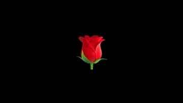 lovireii's tweet photo. THE COMEBACK THAT MATTERS https://t.co/nuxEgc1gmL