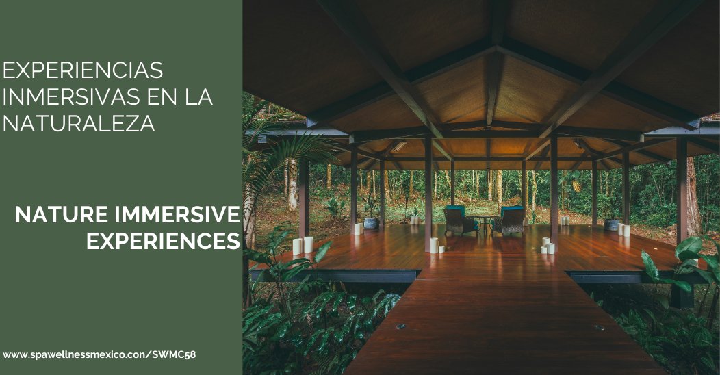 Explore the Sierra Nevada at #Tewimake &amp; connect w/ nature at <a href="/LasIslasBaru/">Hotel Las Islas Barú</a> in Colombia. Find inner balance at #OurHabitasBacalar in Mexico, reconnect w/ your essence at <a href="/ElSilencioLodge/">El Silencio Lodge</a> &amp; enjoy forest bathing w/ #SentirNatural in Costa Rica

tiny.cc/NatureImmersive