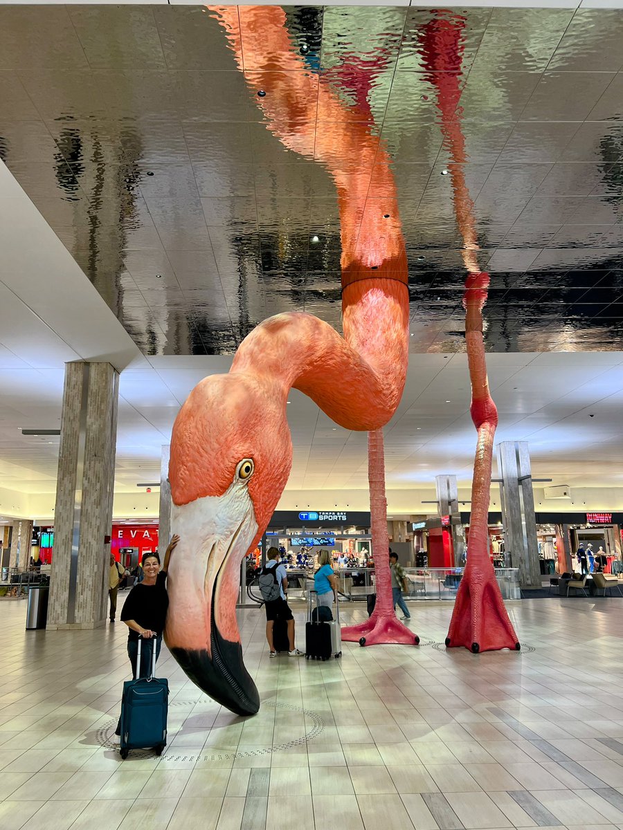 Successful site visit to #Tampa to find more amazing venues for #ASPNR26 ✅ Enjoyed meeting Phoebe the Flamingo🦩&amp; the hilarious TSA agent at Concourse E 🤣 <a href="/FlyTPA/">Tampa International Airport ✈️</a> ✈️ #pedineurorad <a href="/The_ASPNR/">American Society of Pediatric Neuroradiology</a> #greatairport