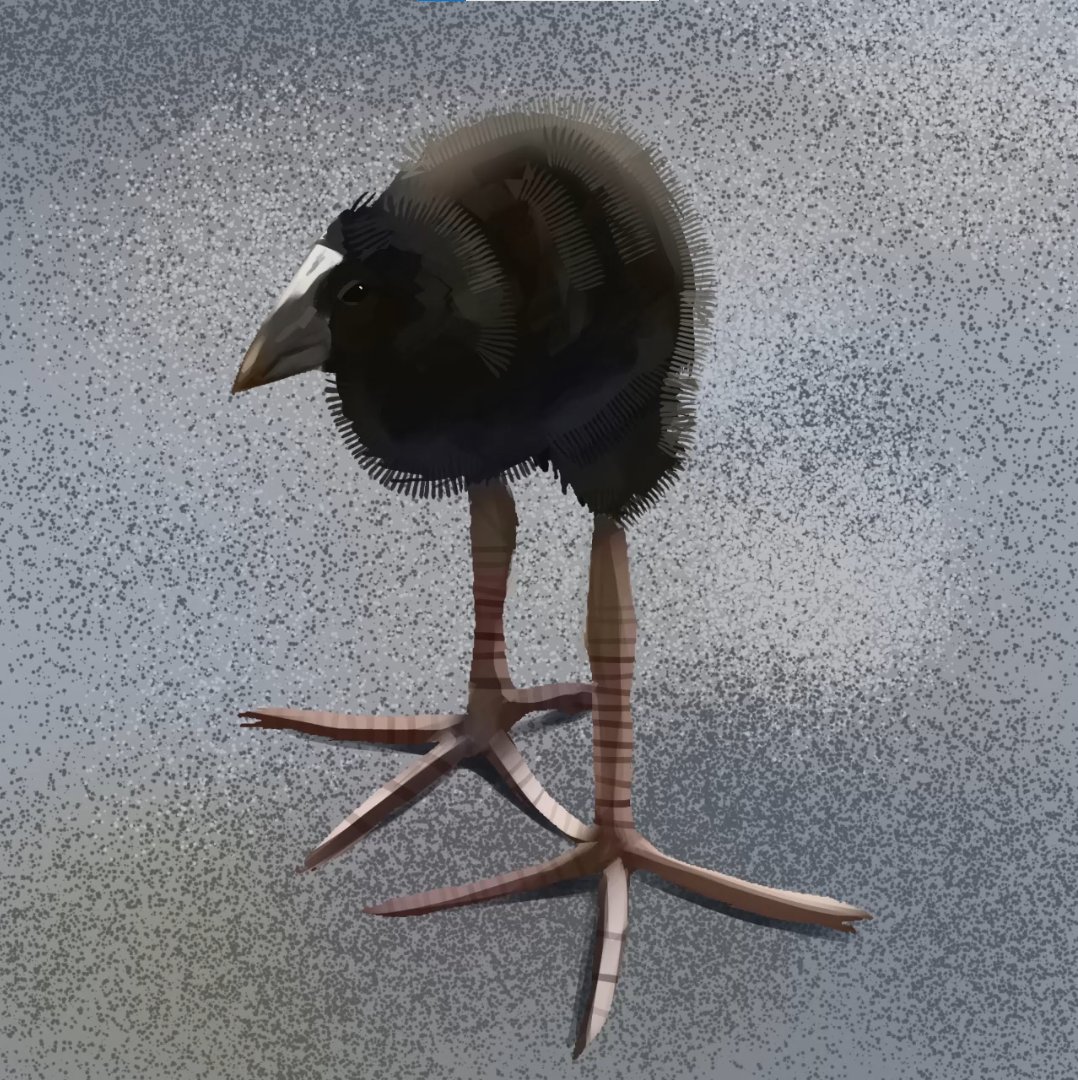 megmoniez's tweet image. this is me irl btw #pukeko #art