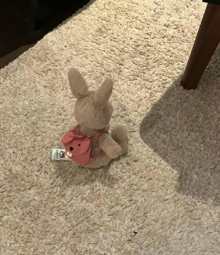 Hopping into adventure with my little buddy #bunny