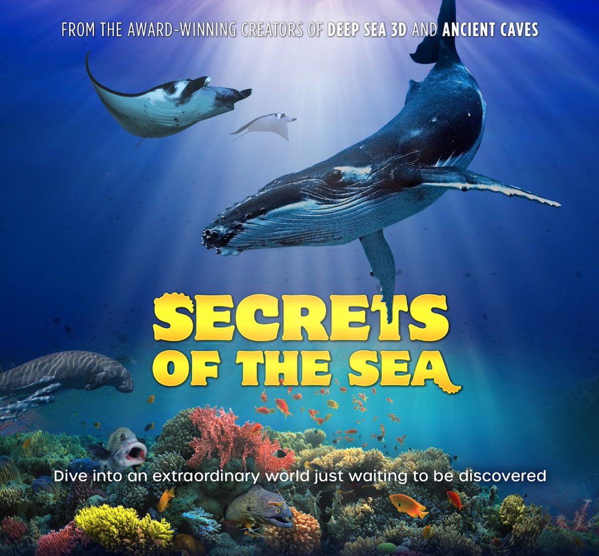 New film alert ‼️ Secrets of the Sea is NOW PLAYING in Arizona Science Center's Irene P. Flinn Giant Screen Theater! Learn more about what's currently showing and reserve your seat today 🎬 azscience.org/experience/fil…