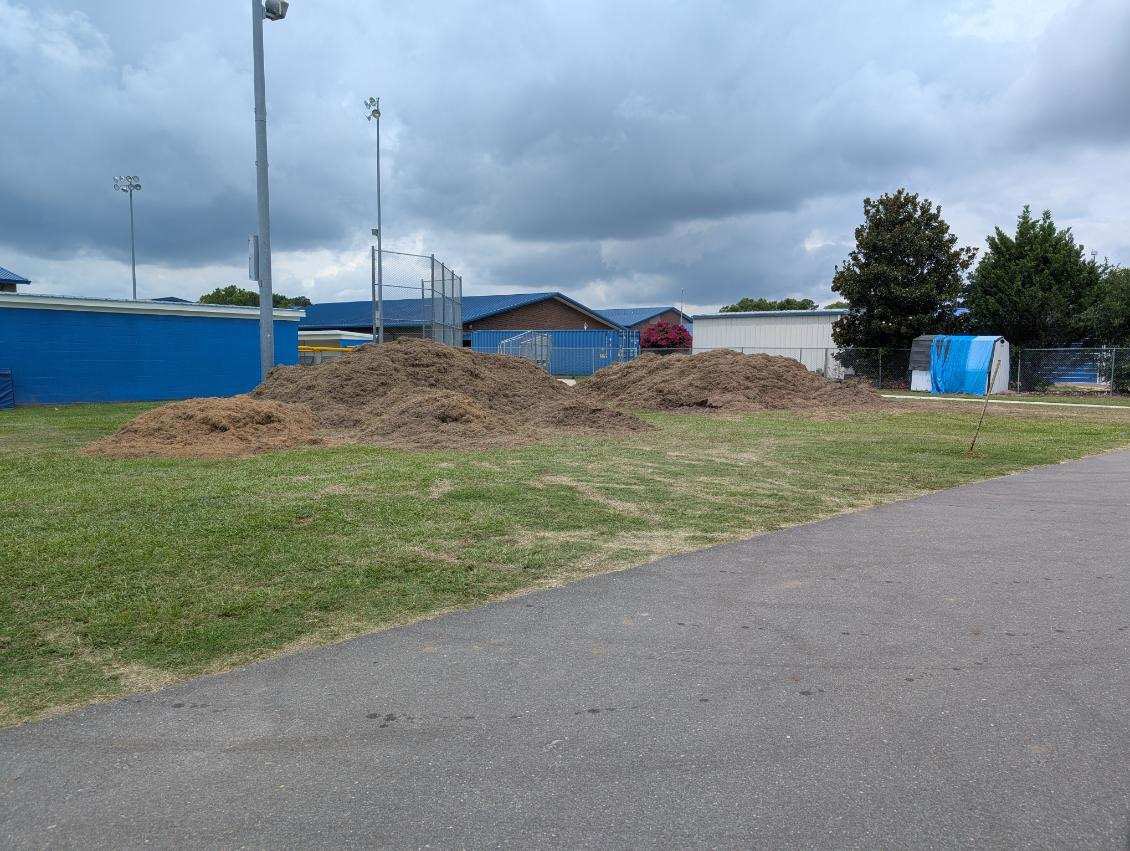 Dawgsports tweet media