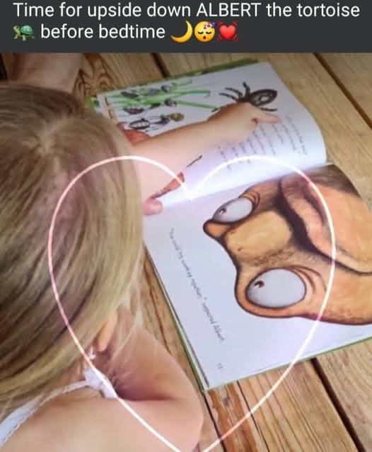 AlbertTortoise's tweet photo. Please keep sharing YOUR terrific #ALBERTthetortoise #pictures. Posing now possible with 8 ALBERT #picturebooks, 3 #BoardBooks & #ActivityBook https://t.co/sGYhBlGs7n
#bookatbedtime #storytime #tortoise #bookseries #illustrations #reading #books https://t.co/MyIXuUKnjO