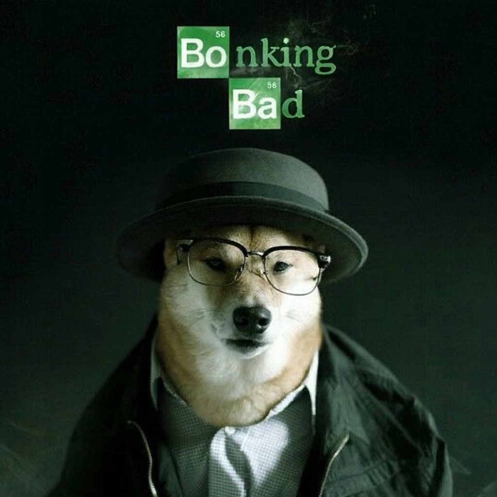 bonkingbad's tweet photo. lift off soon? ca gonna hit stealthy…. https://t.co/zFtCrUWWng