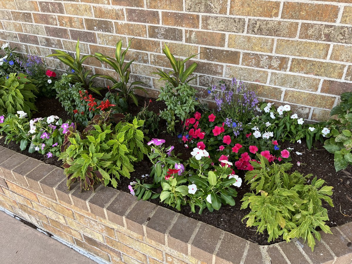 Coming in across the airwaves! 📻📡 Townsquare Media has earned the Keep Victoria Beautiful beautification award for the month of July. Read more: victoriatx.gov/CivicAlerts.as…