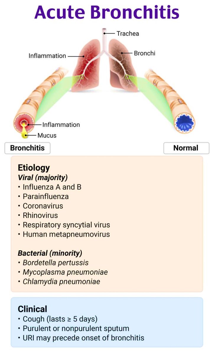 Acute bronchitis.