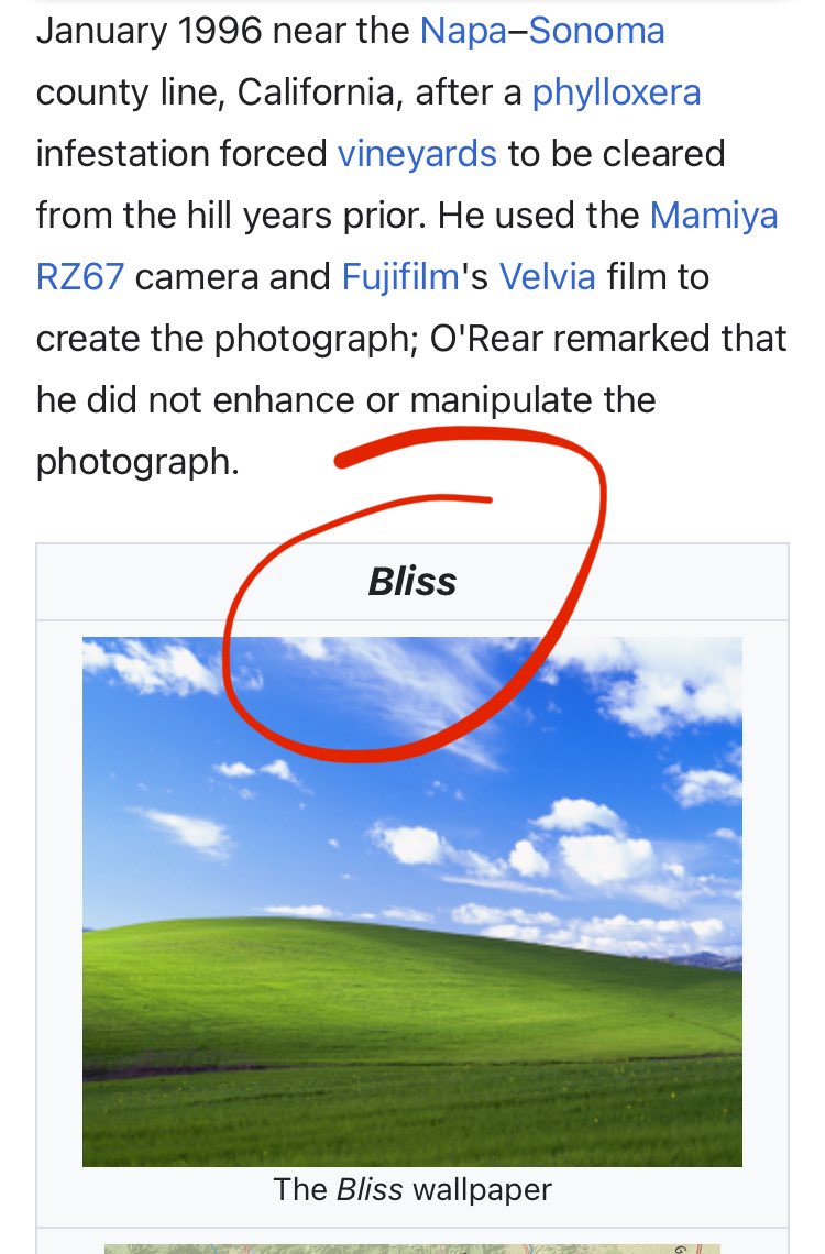greenmamba_eth's tweet image. Even @Microsoft uses $stock photos… 🤯🤯