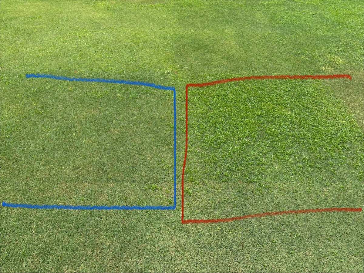 Granular Stayguard (flumioxazin) left, nontreated on the right. Near 100% post sedge control from a granular application. Plus crabgrass and doveweed activity. Very unique, useful product.